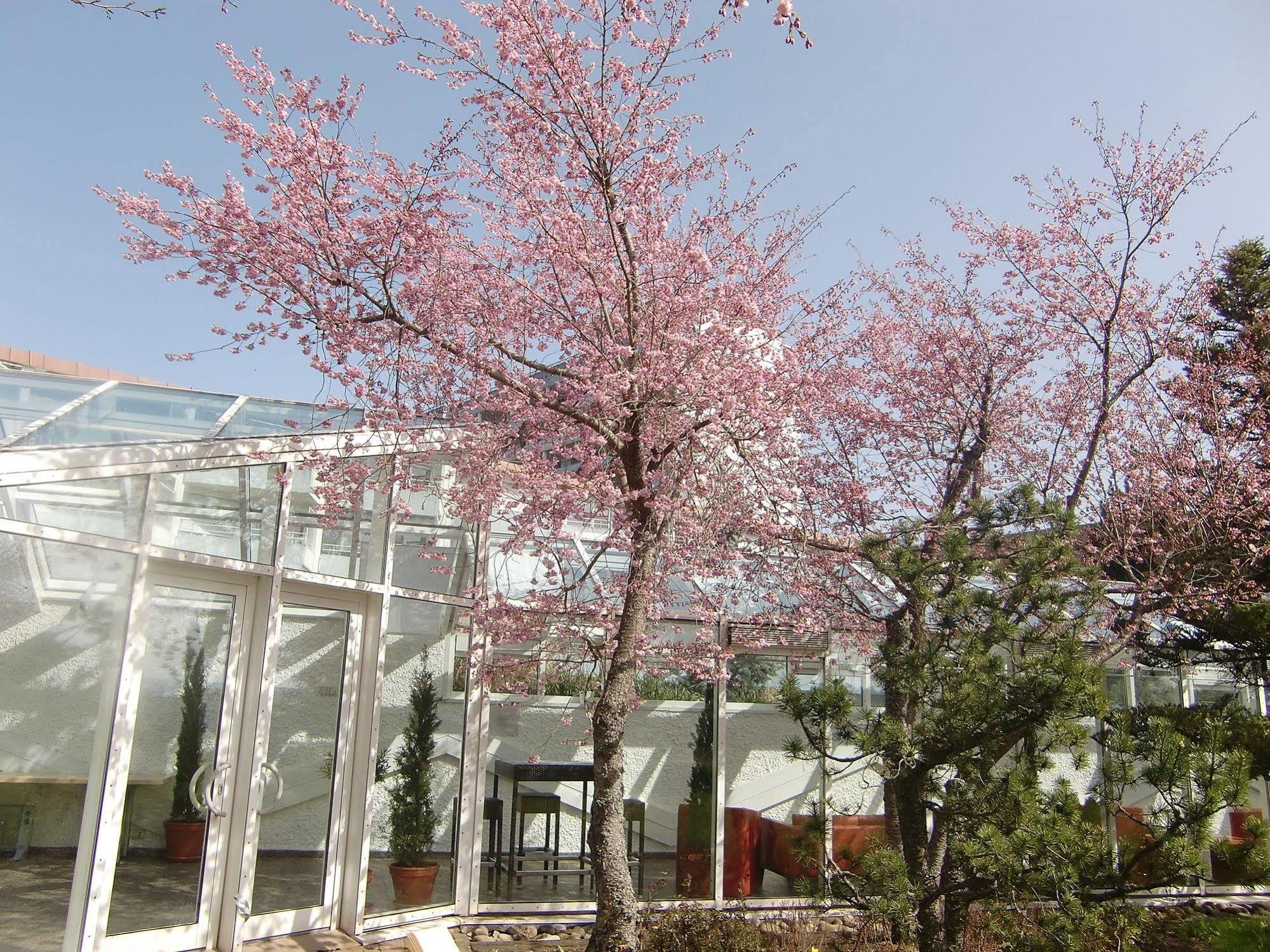 Dekra Congresshotel Wart Altensteig Bagian luar foto